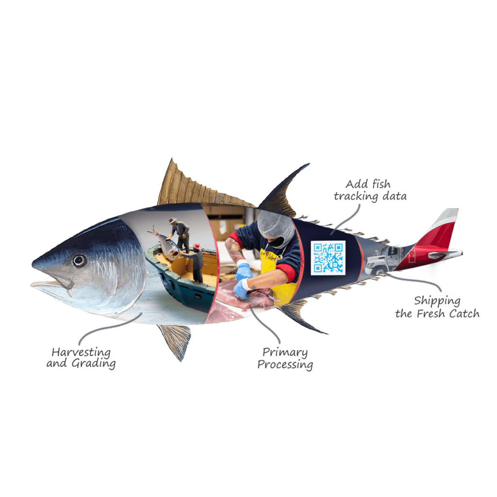 tuna fish NEW (4)